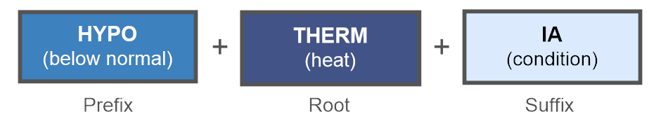 Prefix, root, and suffix for hypothermia.