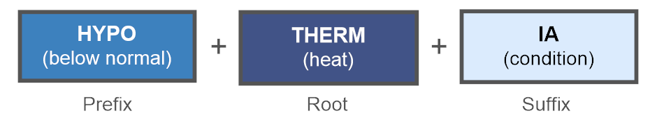 medical-terminology-prefix-suffix-root-word-list-course-dictionary